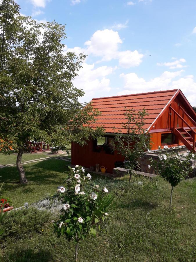 Matyas Apartman Tard 外观 照片
