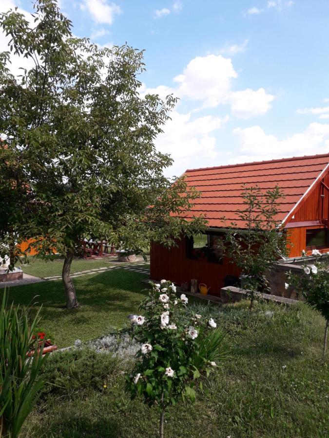 Matyas Apartman Tard 外观 照片